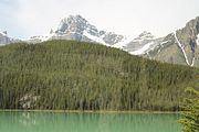 19 - Banff to Icefields - IMG_0933